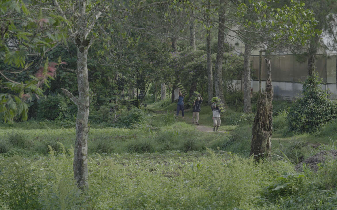 Kolaborasi Lingkungan Arista Montana Perluas Dampak Pelestarian Alam