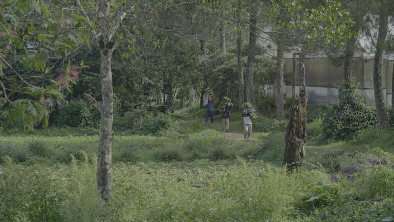 Kolaborasi Lingkungan Arista Montana Perluas Dampak Pelestarian Alam