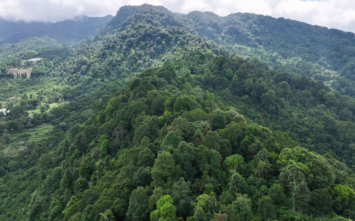 Harmoni Alam, Perekonomian, dan Pendidikan di Mega Mendung