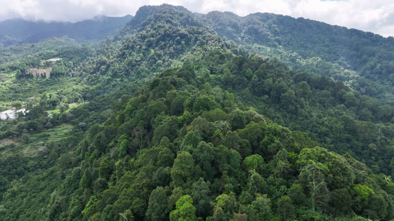 Harmoni Alam, Perekonomian, dan Pendidikan di Mega Mendung