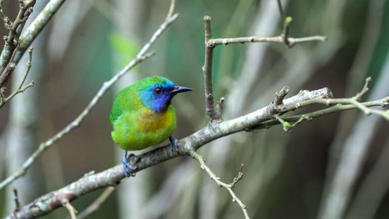 Mega Mendung Mantapkan Posisi Sebagai Kawasan Konservasi