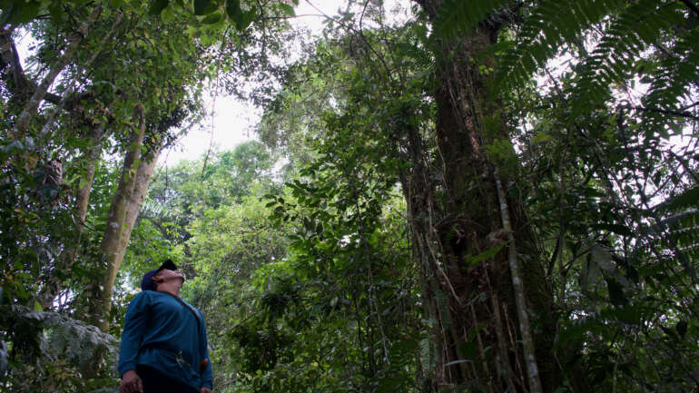 Upaya Pelestarian Keanekaragaman Hayati di Mega Mendung Terus Diperkuat