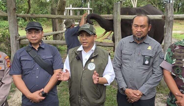 Raja Antoni Apresiasi Dukungan Publik Lewat Tagar Save Tesso Nilo