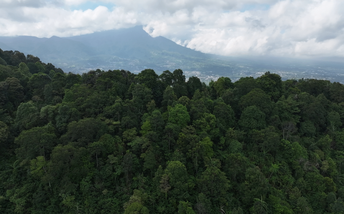 Bursa Karbon di Indonesia Tembus 78,5 Miliar