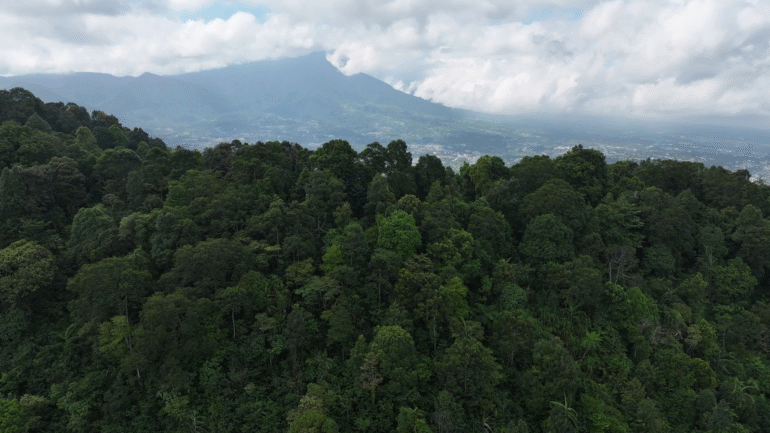 Bursa Karbon di Indonesia Tembus 78,5 Miliar