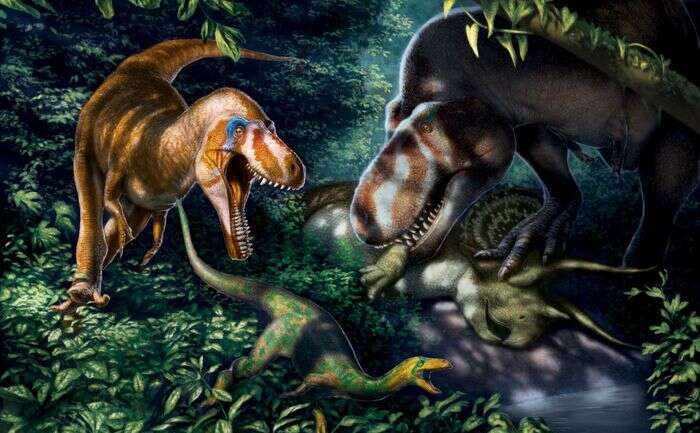 Kontroversi Nanotyrannus, Temuan Fosil Remaja T.Rex Kian Perkuat Argumen Ontogeni